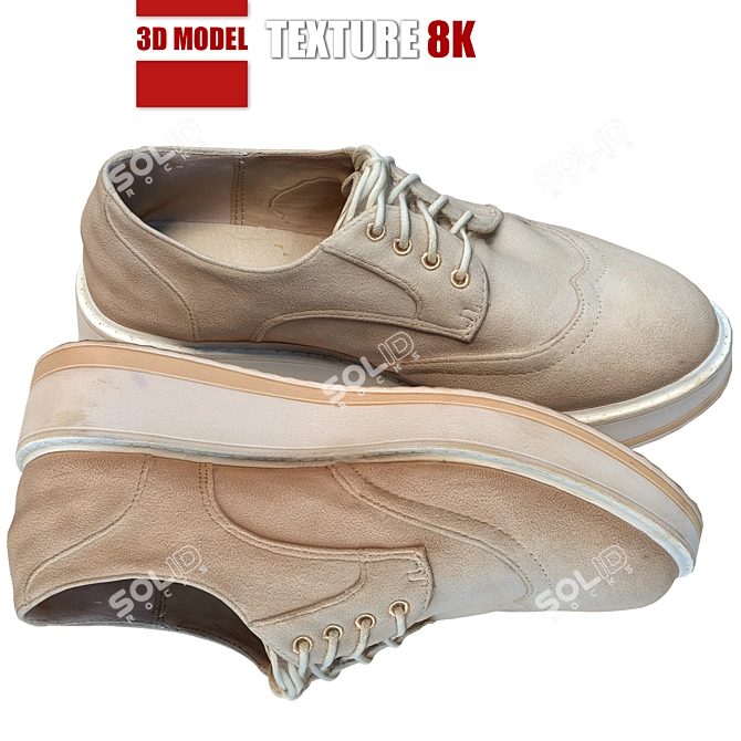 Title: Suede 3D Photogrammetry Shoes 3D model image 1