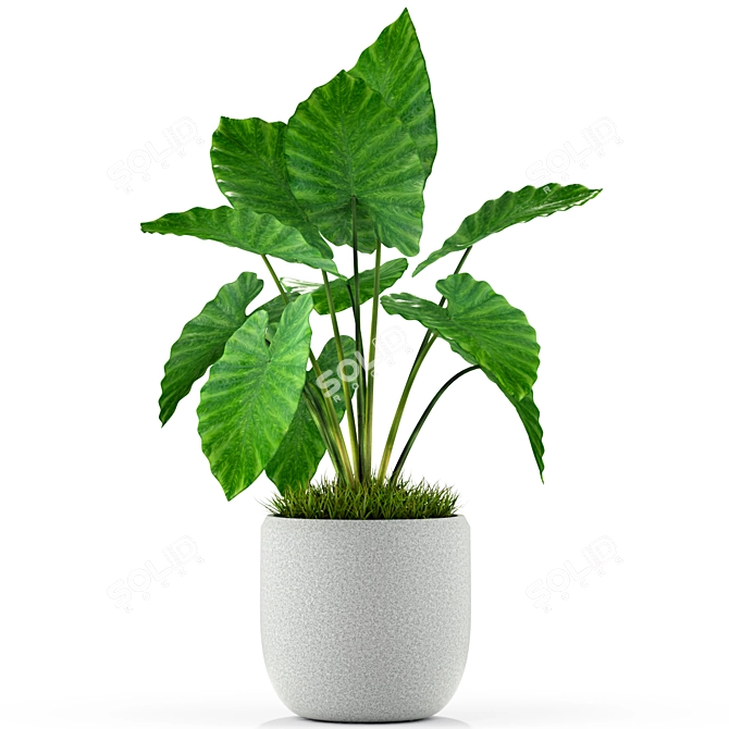 Botanical Bliss: Stunning Plant Collection 3D model image 4