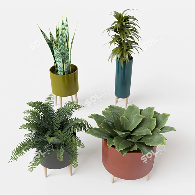 Elegant Florian Flowerpot Set 3D model image 2