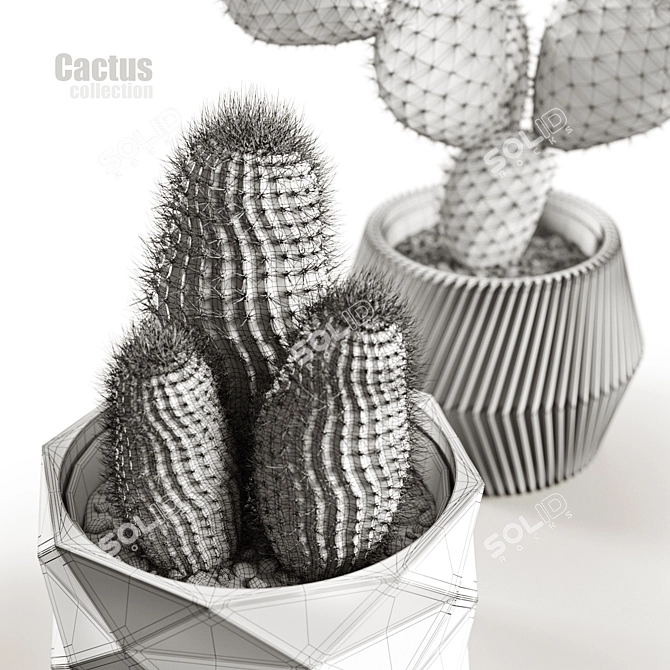 Succulent Sensations: Cactus Collection 3D model image 5