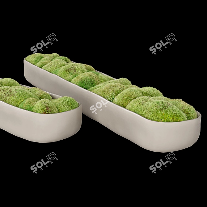 Organic Sculpted Trough for Nature-Inspired Décor 3D model image 3