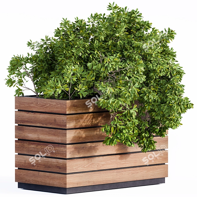 Green & Wood Plant Box 3D model image 1