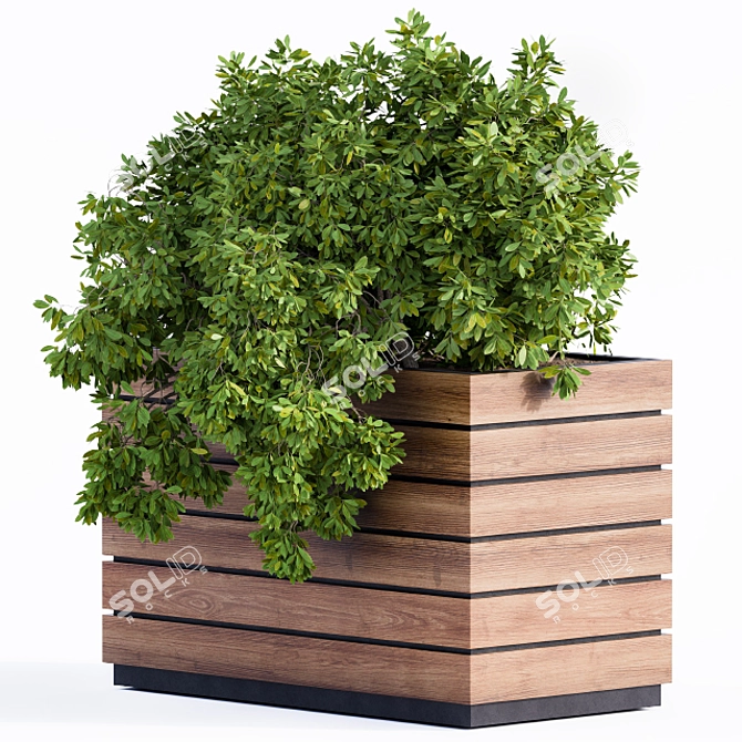 Green & Wood Plant Box 3D model image 2