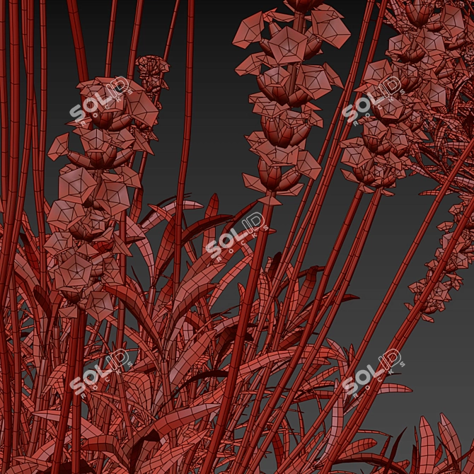 Narrow-Leaved Lavender Plant | Lavandula angustifolia 3D model image 3