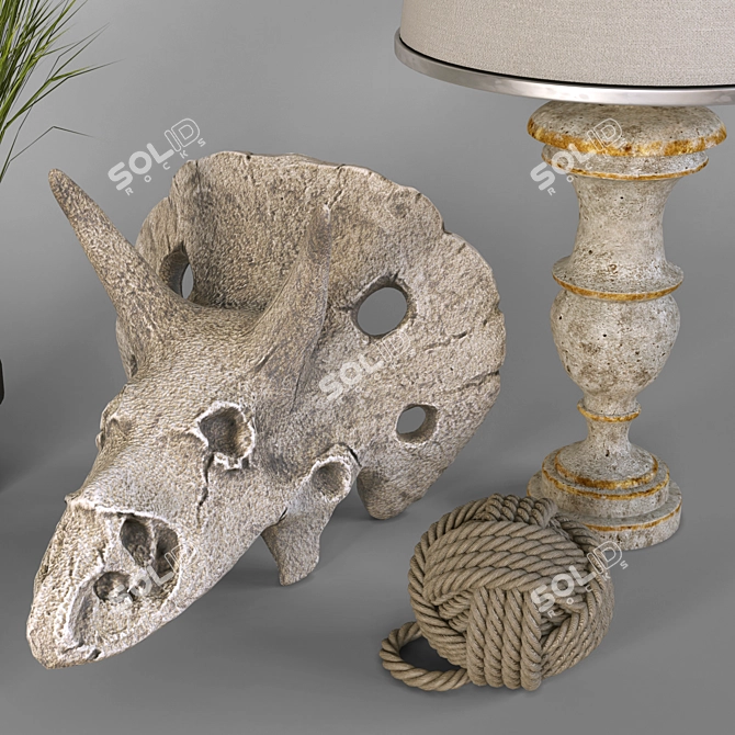 Dino Skull Decor Set 3D model image 2