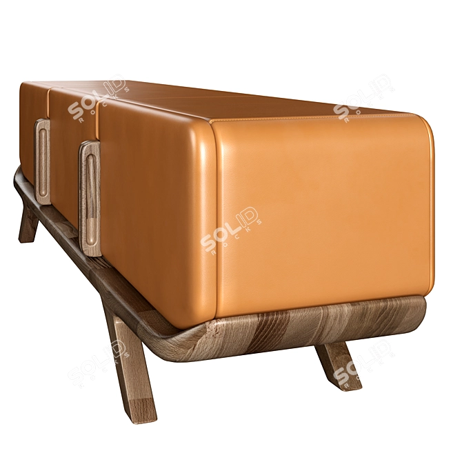 Luxury Leather Polo Sideboard 3D model image 2