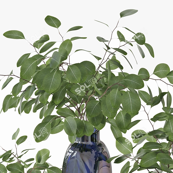 Eucalyptus Silver Dollar Vase - LSA Taffeta 3D model image 3