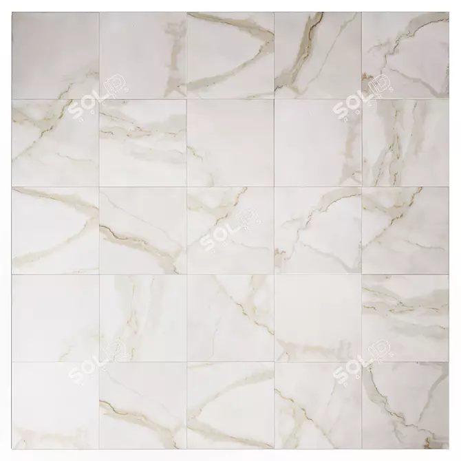 Elegant White Calacatta Marble 3D model image 1