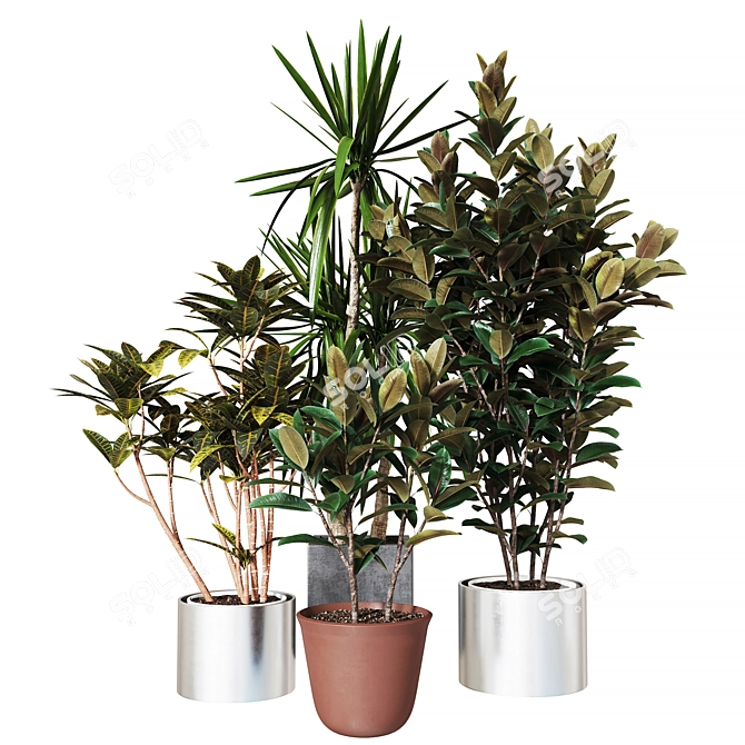 Exquisite Indoor Plant Collection 3D model image 2