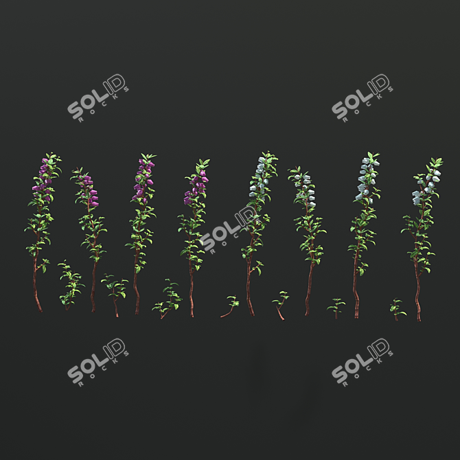 Botanical Bliss: Vase with Heather and Fern 3D model image 4