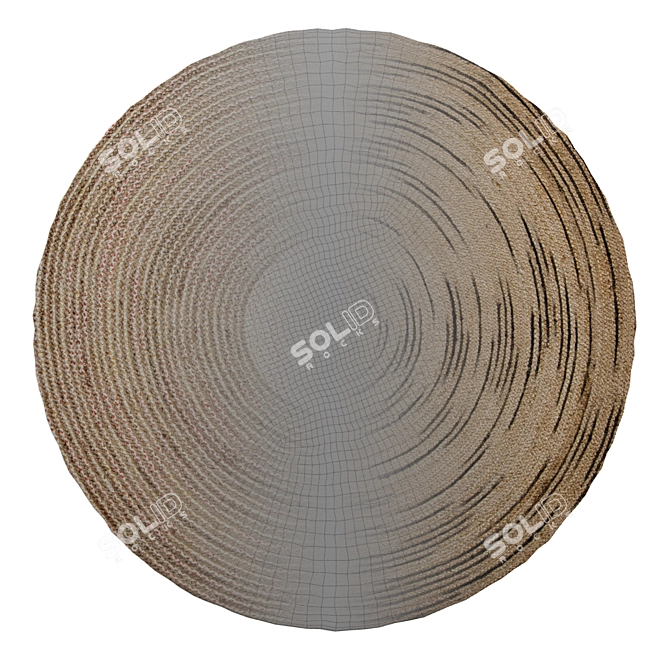 Natural Jute Round Rugs 3D model image 2