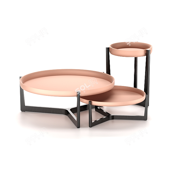 Stylish Coffee Table Set 3D model image 2