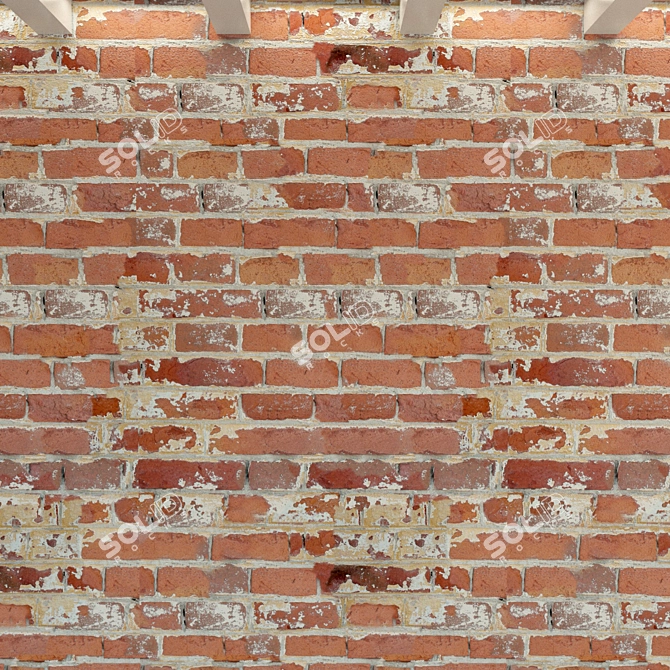 Vintage Brick Wall Texture 3D model image 2