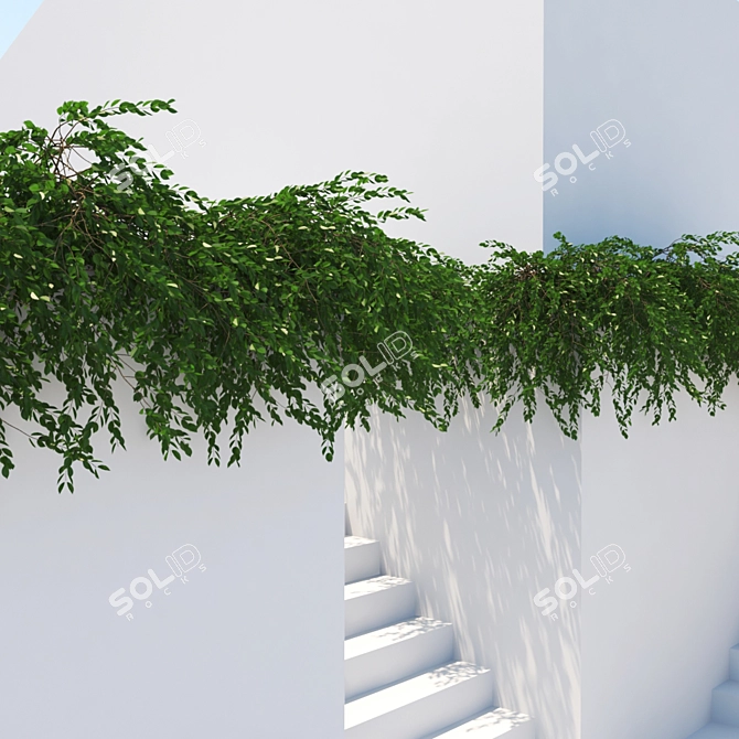 Polycount 662K Plant 3D model image 4