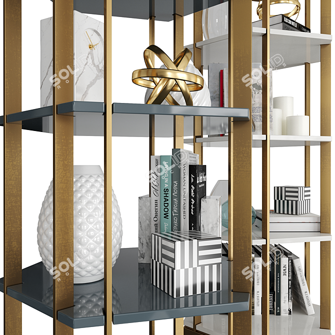 Hexagonal Bookcase with Bronze Frame and Glossy Shelves 3D model image 3