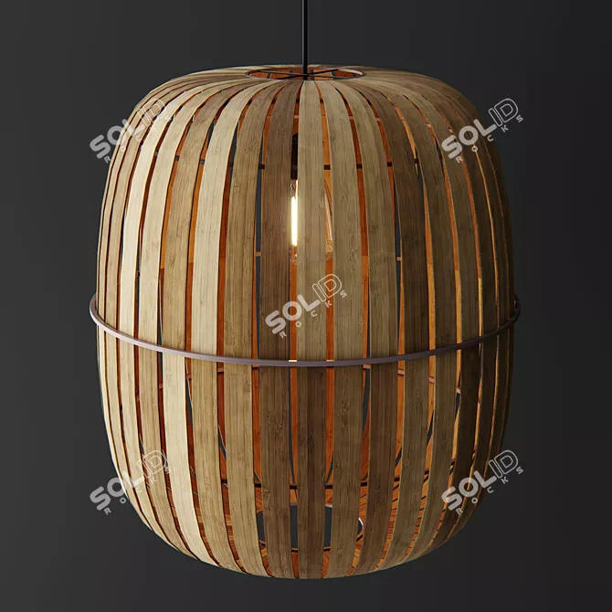 Natural Bamboo Kiwi Wren Lamps 3D model image 1