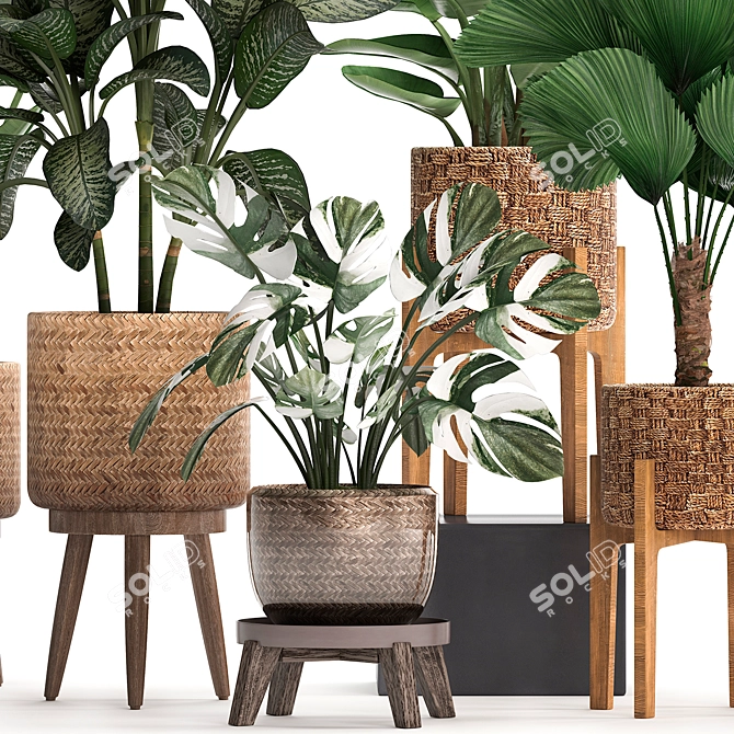 Exotic Plant Collection 3D model image 4