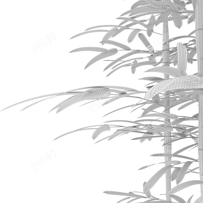 Natural Bamboo Garden Fence 3D model image 5