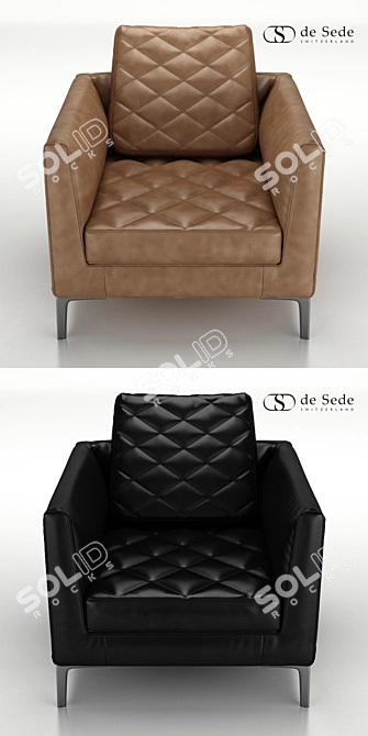 Luxurious DS-48 Armchair by de Sede 3D model image 3