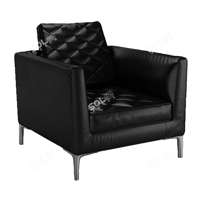 Luxurious DS-48 Armchair by de Sede 3D model image 5