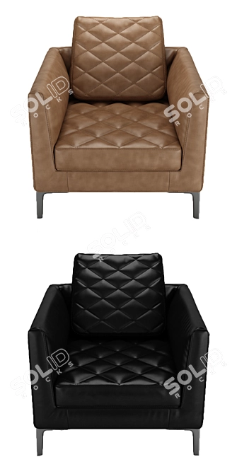 Luxurious DS-48 Armchair by de Sede 3D model image 6