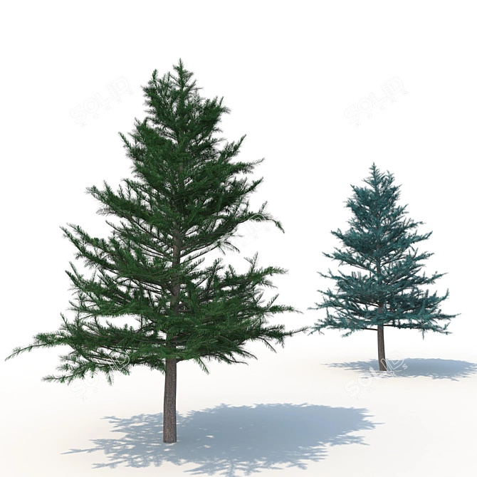 Spruce V1: High-Quality 3D Tree Model 3D model image 1