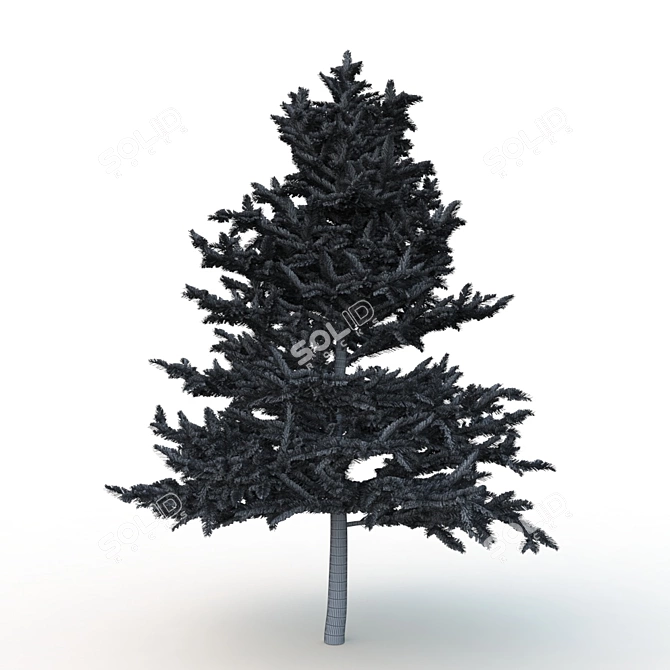 Spruce V1: High-Quality 3D Tree Model 3D model image 4