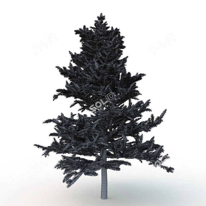 Spruce V1: High-Quality 3D Tree Model 3D model image 5