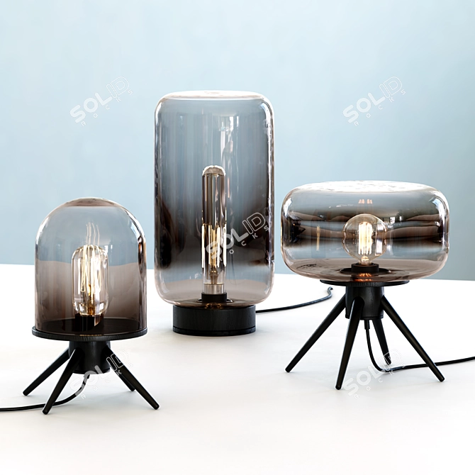 Refraction Trio: Wooden Table Lamps 3D model image 3