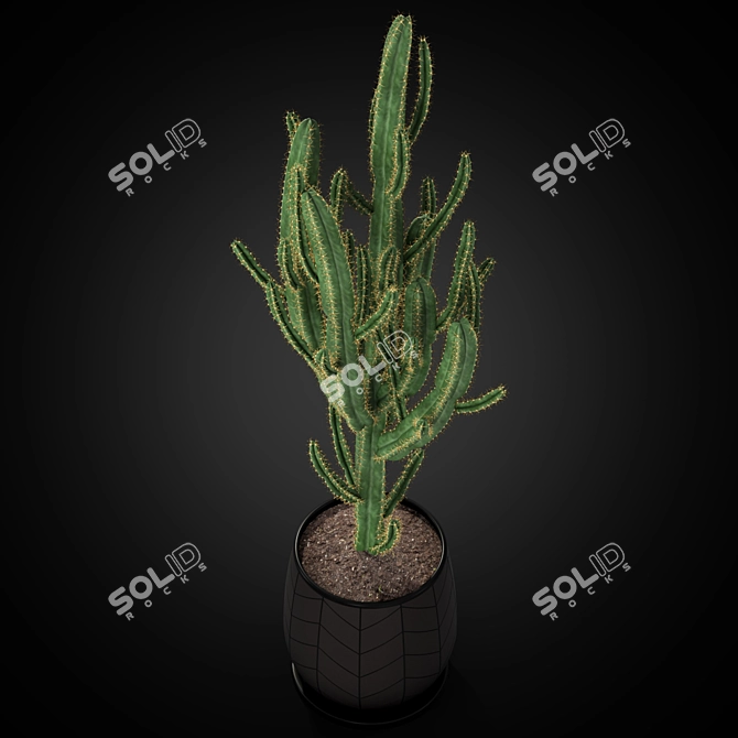 Botanical Treasures: Greenery Assortment 3D model image 2