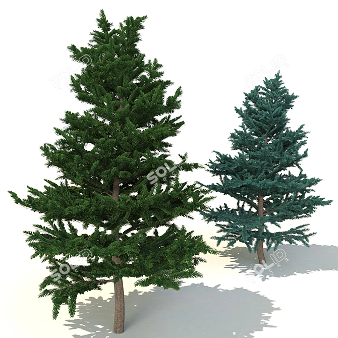 Spruce V2: High-Quality 3D Tree 3D model image 1