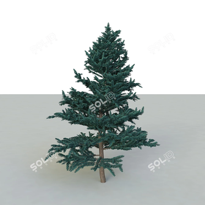 Spruce V2: High-Quality 3D Tree 3D model image 3