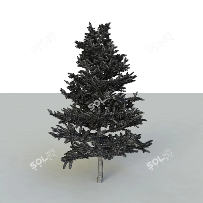 Spruce V2: High-Quality 3D Tree 3D model image 4