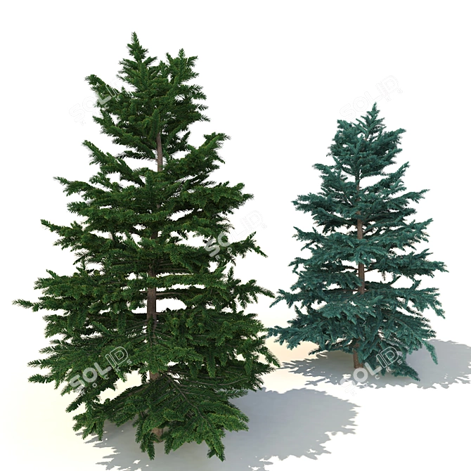 Spruce V3 - High-quality 3D Tree Model 3D model image 1