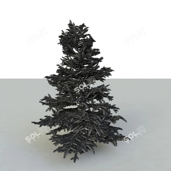 Spruce V3 - High-quality 3D Tree Model 3D model image 4