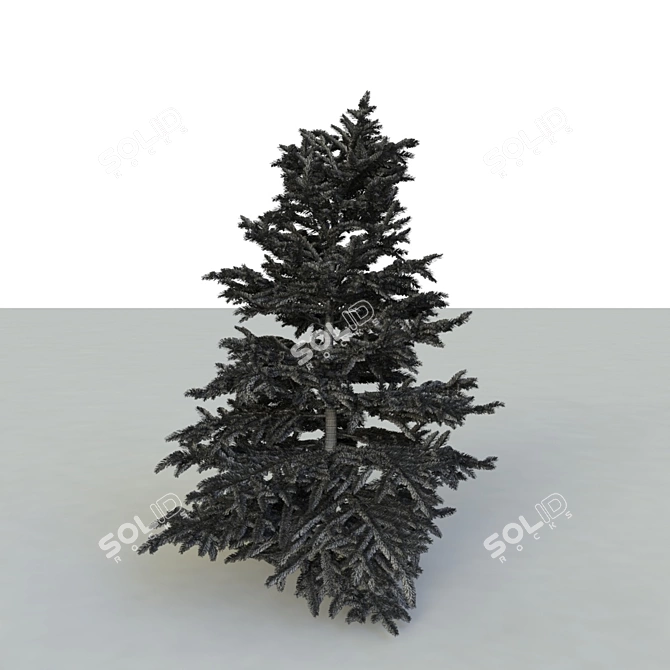 Spruce V3 - High-quality 3D Tree Model 3D model image 5