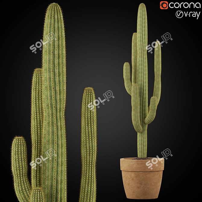 Green Oasis Collection: 253 Varieties 3D model image 1