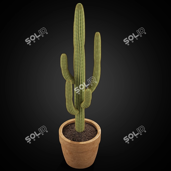 Green Oasis Collection: 253 Varieties 3D model image 2