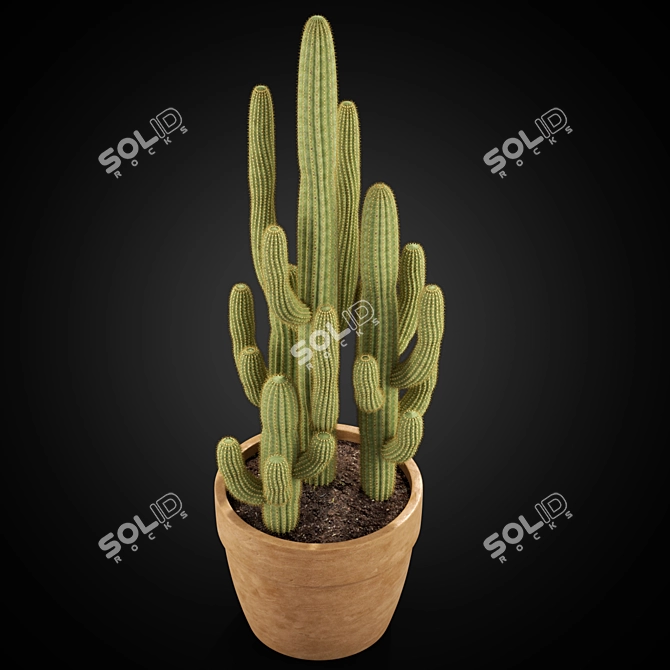 Exquisite Plant Set: Collection 254 3D model image 2