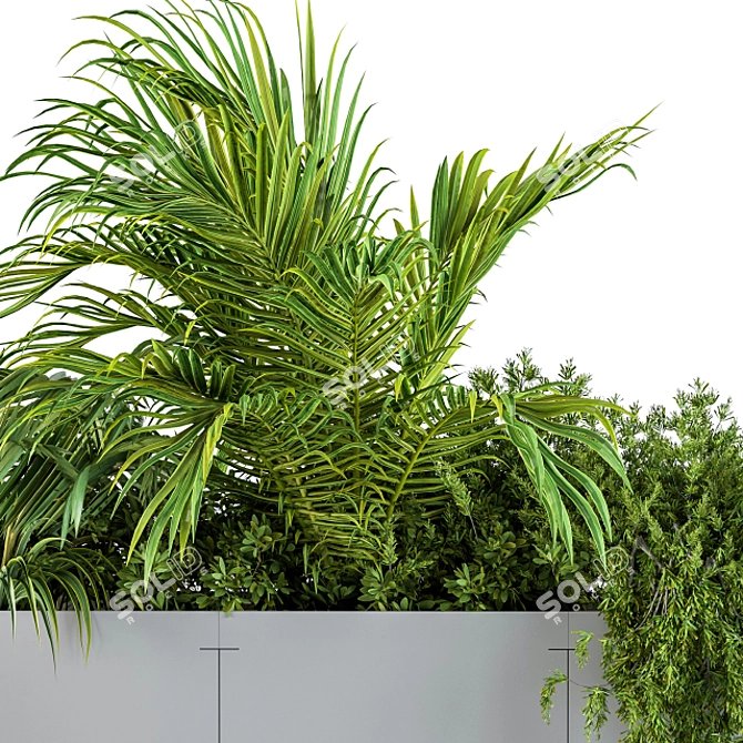 Tropical Gray Plants Box 3D model image 4