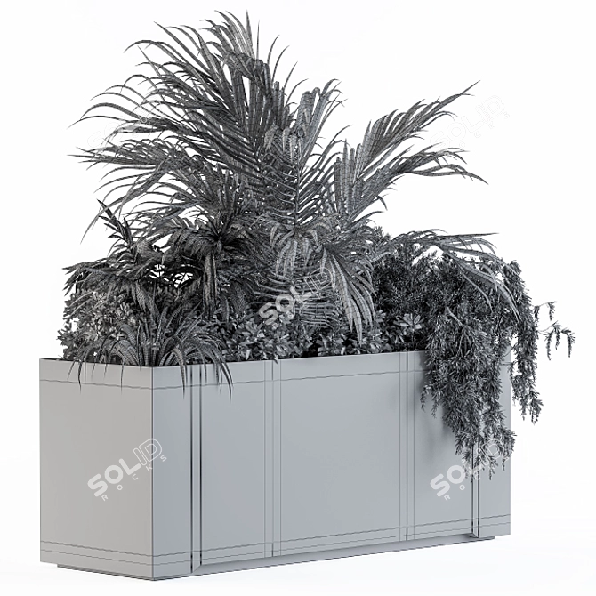 Tropical Gray Plants Box 3D model image 5