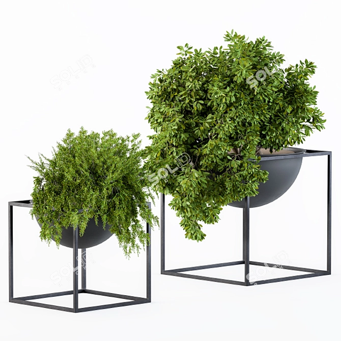 Botanical Bliss: Hanging Plants in a Round Pot 3D model image 1