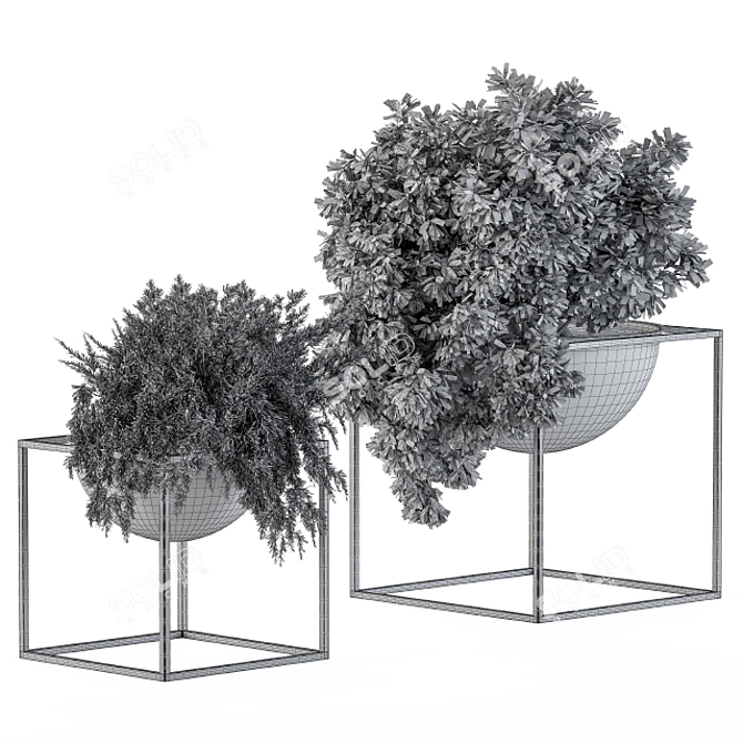 Botanical Bliss: Hanging Plants in a Round Pot 3D model image 2