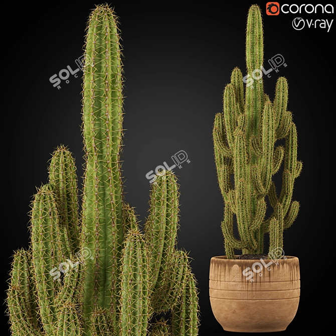Greenery Galore: 256 Diverse Plant Collection 3D model image 1