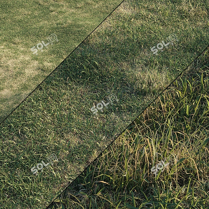 Spring Meadow Grass | Scattered Preview 3D model image 1