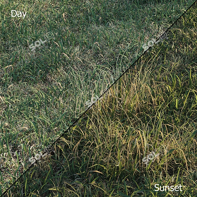 Spring Meadow Grass | Scattered Preview 3D model image 3