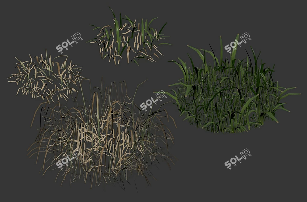 Spring Meadow Grass | Scattered Preview 3D model image 5