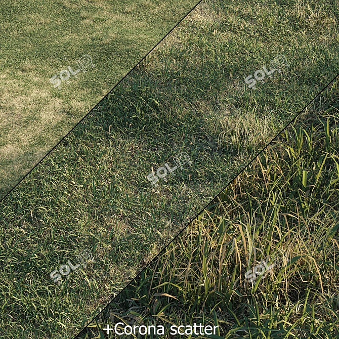 Spring Meadow Grass | Scattered Preview 3D model image 6