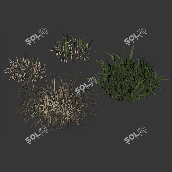 Spring Meadow Grass | Scattered Preview 3D model image 7