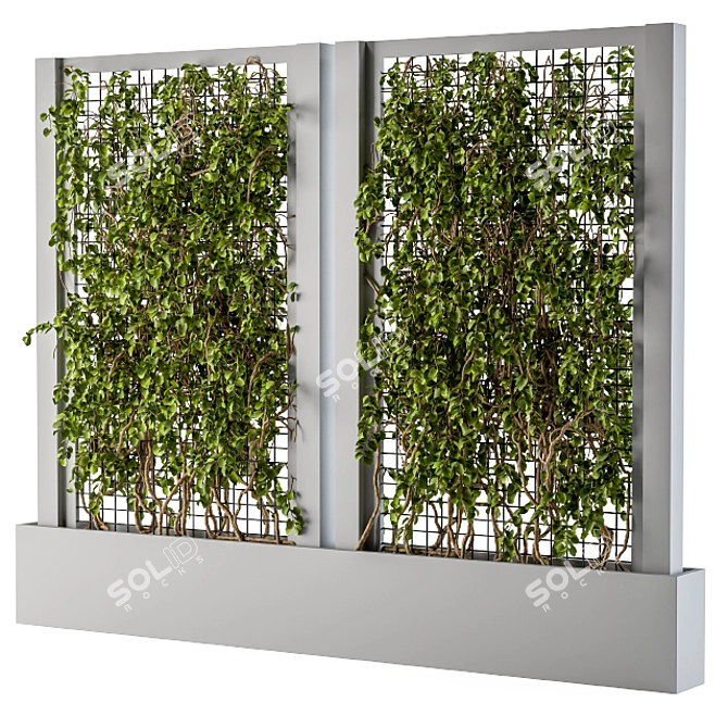 Elegant Gray Ivy Box Plants 3D model image 1